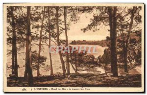 Old Postcard The Esterel Seaside A Travers les Pins