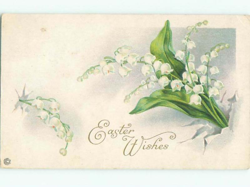 Divided-Back BEAUTIFUL FLOWERS SCENE Great Postcard AA2354