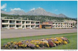 The Andrew Motor Lodge, Jasper National Park, Canadian Rockies, Jasper, Alber...