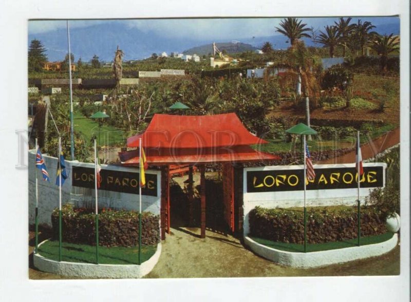 442246 SPAIN Tenerife Parrot Park & show tourist advertising postcard