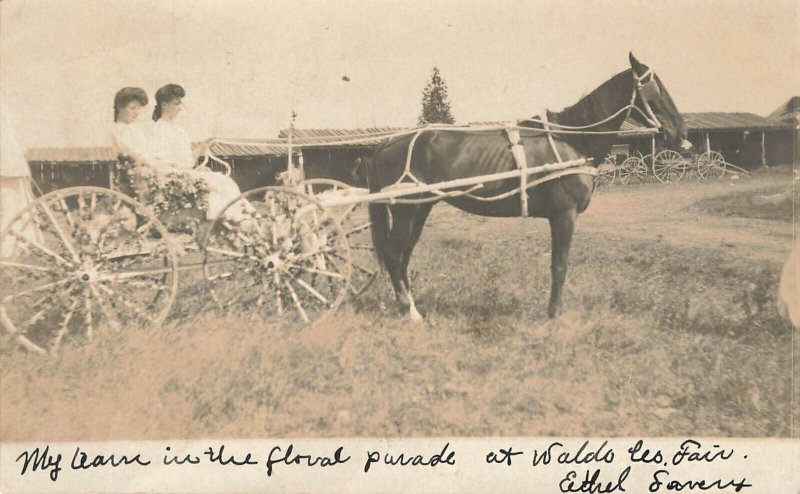 Waldo ME Fair Grounds Horse & Buggy in The Floral Parade in 1905 RPPC