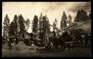 Vintage RPPC Western Farming and Rural life