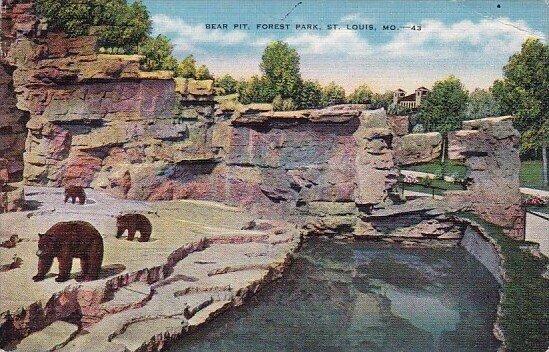 Bear Pit Forest Park Saint Louis Missouri 1940