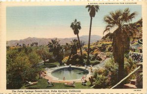 Willard Linen Postcard Swimming Pool at Palm Springs Tennis Club CA