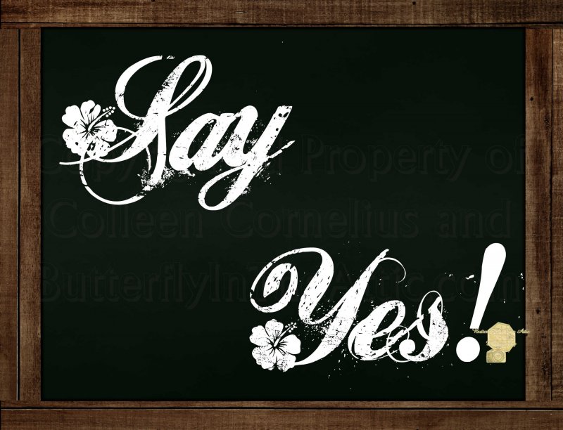 Set of 6  Postcards Blackboard Greetings - Say Yes- Simple Expression