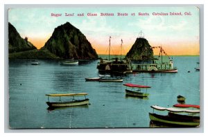 Vintage 1910's Postcard North Point & Sugar Loaf Catalina Island California