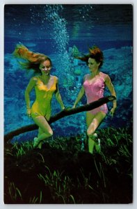 Postcard 2 Mermaids of Weeki Wachee Springs State Pk Fl in Catalina Swim suits