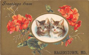 H98/ Hagerstown Maryland Postcard c1910 Greetings from Hagerstown Cat26