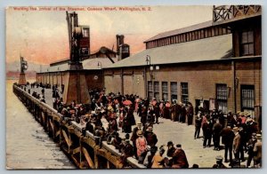 Wellington  New Zealand  Queens Wharf  Waiting for Steamer   Postcard