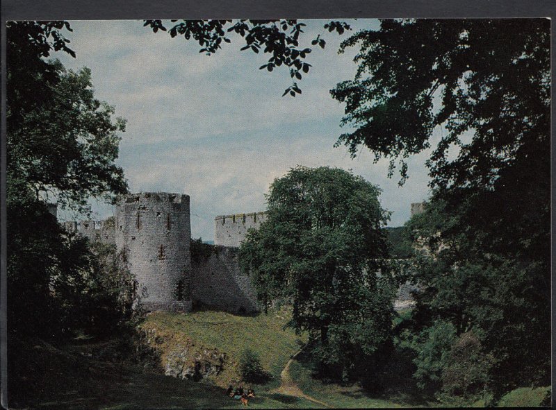Wales Postcard - View of Western End, Chepstow Castle, Gwent  B2722