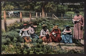 Mint Postcard Black Americana Eating Water Melons Sho Do Love