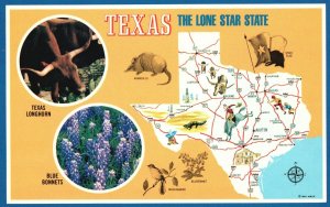 Vintage Postcard Texas The Lone Star State Forest Woodland Land Of Contrast TX