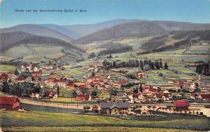 Spital am Semmering Austria Gruss aus scenic birds eye view antique pc Y12331