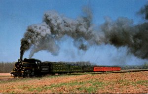 Trains New Hope Steam Railway Locomotive #40