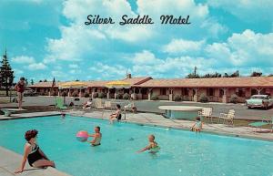 AMES, IA Iowa  SILVER SADDLE MOTEL  Pool  STORY COUNTY  c1960's Chrome Postcard