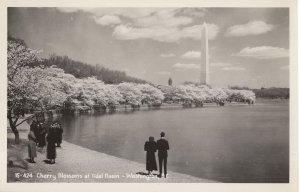 Cherry Blossoms at Tidal Basin Washington DC Real Photo Postcard