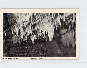 Postcard Hanging Forest, Woodward Cave, Woodward, Pennsylvania