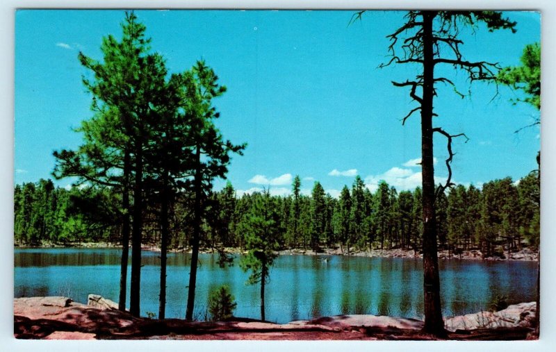 PAYSON AREA, AZ Arizona ~ WOODS CANYON LAKE Elev. 7500 Ft. ~ 1970 Postcard