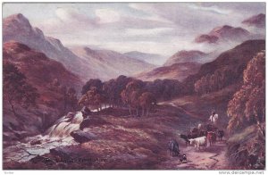 Steering cattle in Glen Lynn, Perthshire, Scotland, United Kingdom, 00-10s