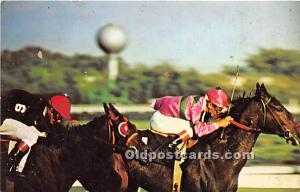 Aquedut The Big A Two Thoroughbred Champions Long Island, NY, USA Horse Racin...