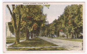 Phelps Street Scene Lyons New York 1920c postcard