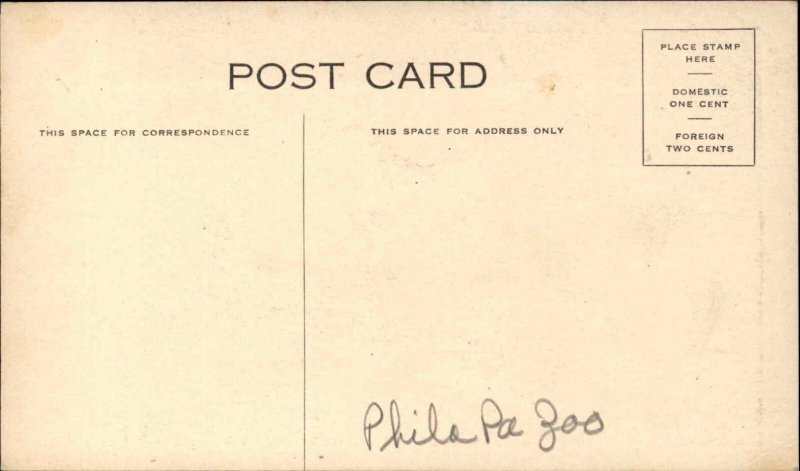 THE WOLVERINE Wild Animal Facts and Image c1910 Postcard 