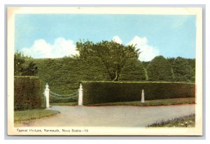 Typical Hedges of Yarmouth Nova Scotia NS Canada UNP WB Postcard S5