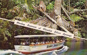 Florida Silver Springs Monkey Business At Floridas Silver Springs