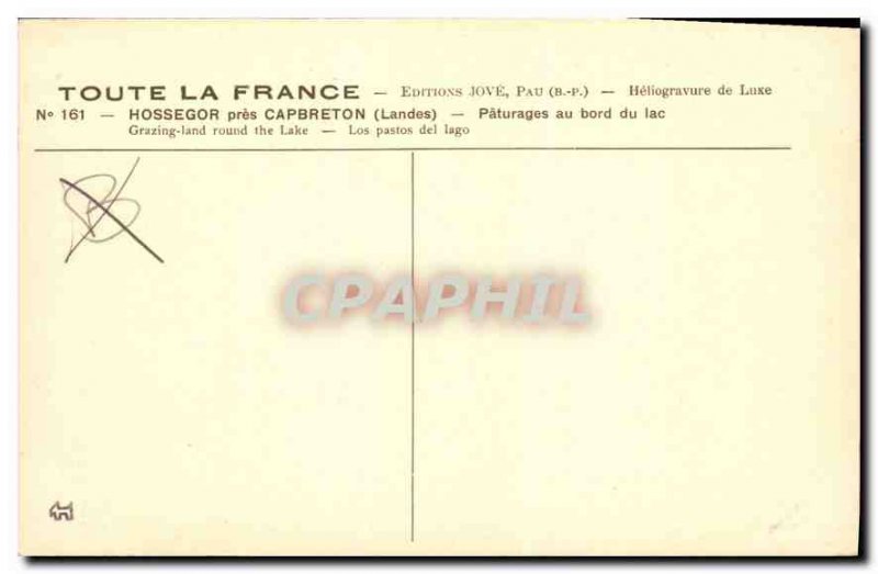 Postcard Old Hossegor close Capbreton Grazing on Lake Sheep