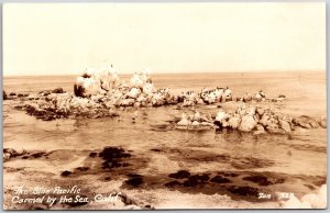 The Blue Pacific Carmel By The Sea California CA Real Photo RPPC Postcard