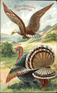 Thanksgiving American Eagle Dive Bombs Turkey c1910 Vintage Postcard