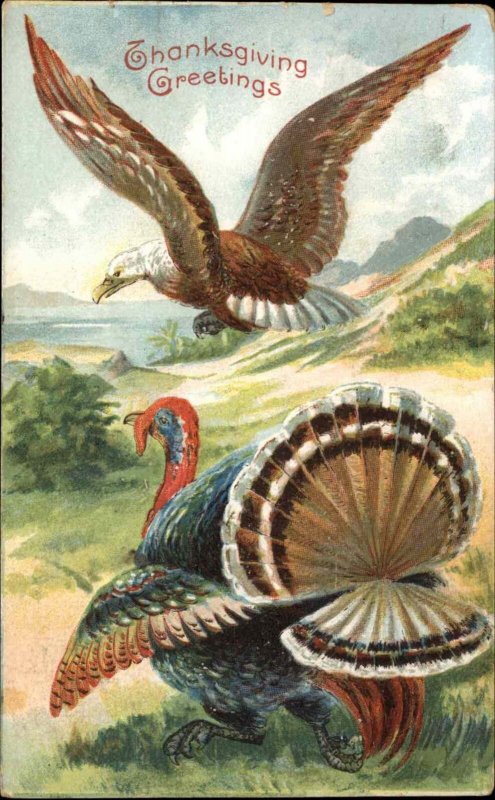 Thanksgiving American Eagle Dive Bombs Turkey c1910 Vintage Postcard