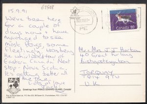 Canada Postcard - Greetings From Prince Edward Island   B2508