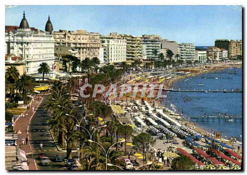 Old Postcard Cote d'Azur Cannes Palaces from the Croisette and the Beach