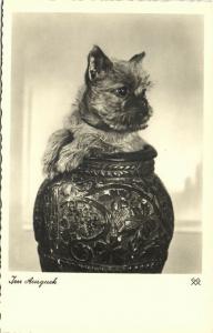 Dog Postcard Terrier (1930s) RPPC (1)