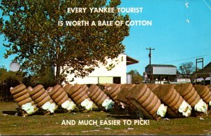 Humour Greetings From Dixie Every Yankee Tourist Is Worth A Bale Of Cotton