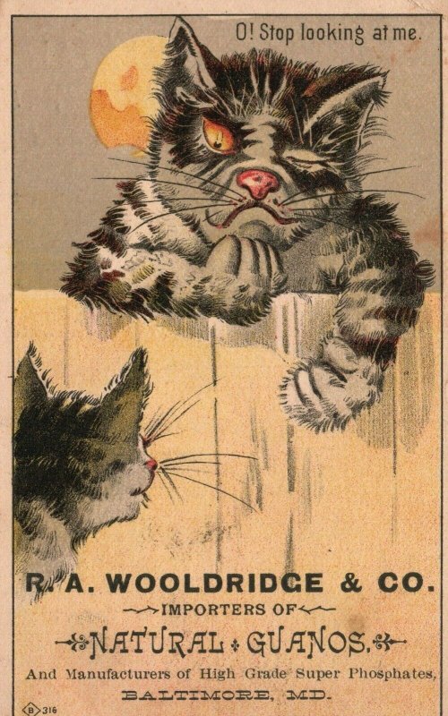 1880s-90s Cat's on Fence O! Stop Looking at Me R.A. Wooldridge & Co. Trade Card