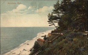 Michillinda Mich MI Water and Beach View c1910 Vintage Postcard
