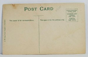 Thanksgiving Greetings Turkey Fall Foliage Fruit c1915 Postcard T14