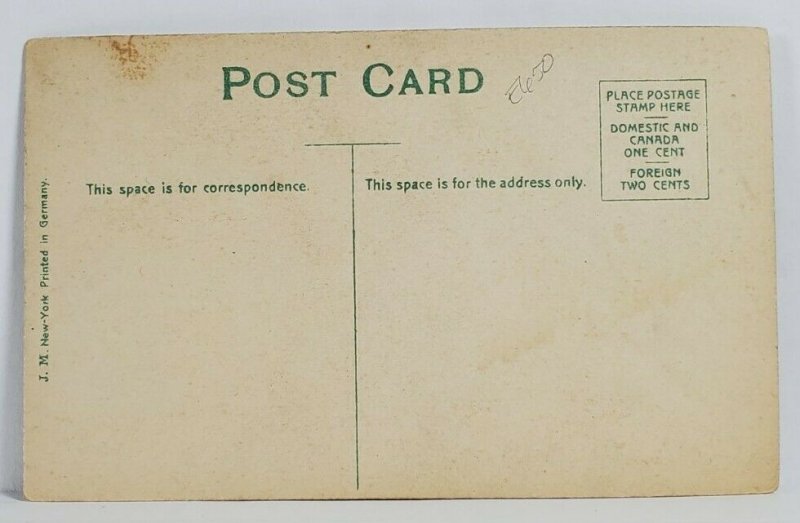 Thanksgiving Greetings Turkey Fall Foliage Fruit c1915 Postcard T14