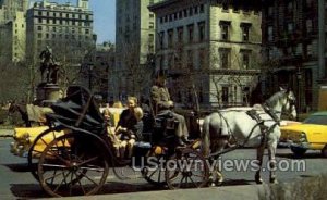 Carriages - New York City s, New York NY  