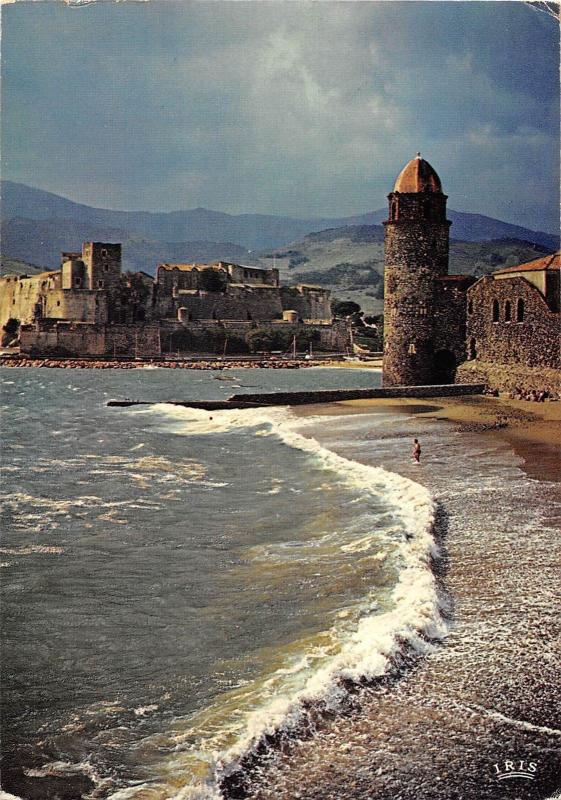 BT6374 Collioure l eglise et le chateau de templiers       France