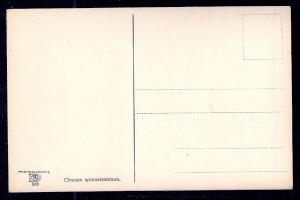 Cirsium spinosissimum unused c1920's