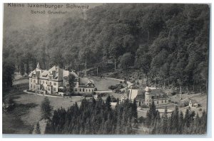 c1910 Little Luxembourg Switzerland Castle Grundhof Unposted Postcard