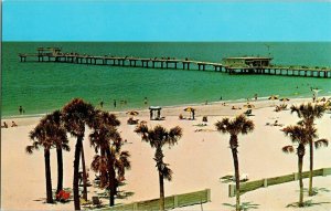 Pier 60 Gulf of Mexico Beach Florida Swimming Ocean Palm Trees Postcard Vtg 