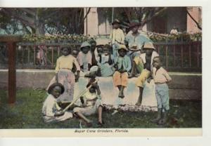 BLACK AMERICANA  SUGAR CANE GRINDERS in FL  postcard