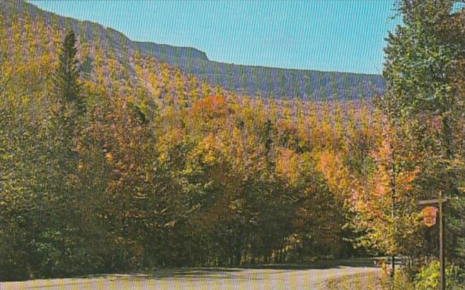 Vermont Stowe Mount Mansfield Forest Park