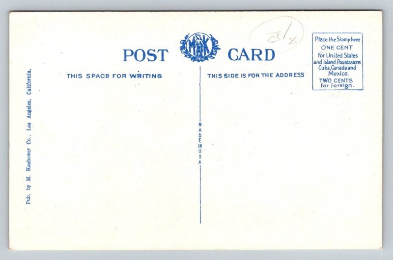 Agua Caliente Hotel  Baja California   Mexico Postcard