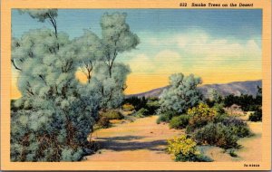 USA Smoke Trees On The Desert California Linen Postcard 09.93 