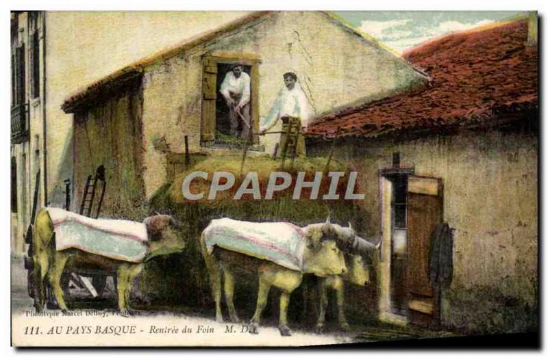 Postcard Old Folklore In the Basque pasy Rentree hay Oxen